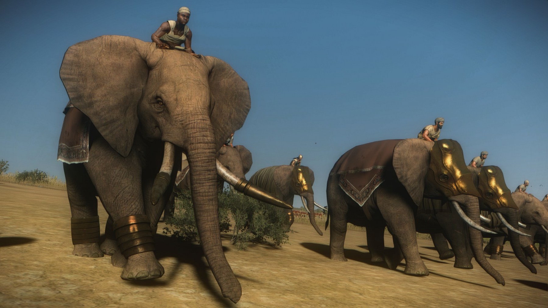 rome total war 2 elephants
