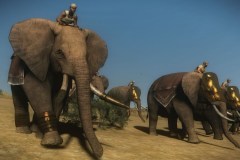 Qasatim 'al Pilim (African War Elephants) Being submitted to years of training, these animals are a force to be reckoned with. While not strong enough to carry towers, these beasts are partially protected by armour.