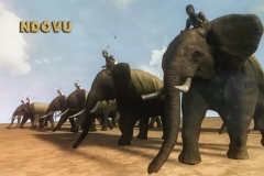 African-Elephants